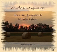 •●Genieße den Augenblich, denn der Augenblick ist dein Leben.●•