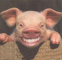 Gruppenavatar von ~*~Look behind you there is the Swine Flu!!~*~