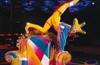 Cirque du Soleil - Saltimbanco@Salzburg Arena