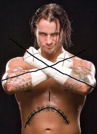 Gruppenavatar von CM PUNK wir HASSEN dich!