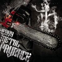 !!!!Ich höre nur eine einzige art von Heavy Metal: ganz klar das Album von Bushido HEAVY METAL PAYBACK!!!!