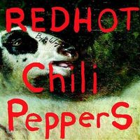 Red Hot Chilli Peppers Fanclub