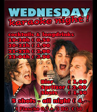 Erasmus Karaoke Night