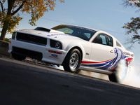 MUSTANG I LOVE IT FOUR EVER