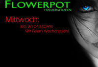 Big Wednesday!@Flowerpot
