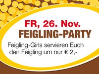 Feigling-Party@Partymaus Freistadt