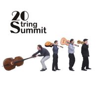 5er-Bräu Live - 20 String Summit@5er Bräu