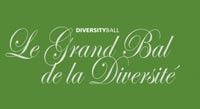 4. Diversity Ball