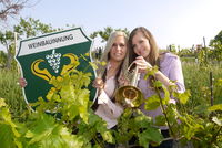 Weinfrühling Mödling@Mödling