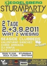 Sturmparty@WirtZ'Wiesing