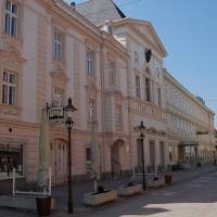 Der Froschkönig - Klein und Fein - Kulturherbst in Wiener Ne@Stadttheater Wiener Neustadt