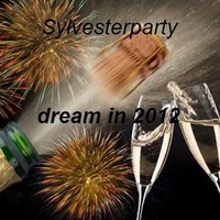 Silvesterparty dream in 2012@Vulcanino