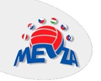 Volleyball MEVZA Final Tour