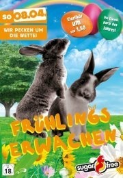 Frühlingserwachen - Bunny Party!