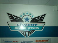 BLACK WINGS 4EVER