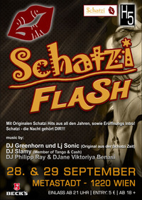 Schatzi Flash@METAStadt 