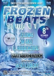 Frozen Beats - Finest Electrohouse  Synthetic Sounds@Orange