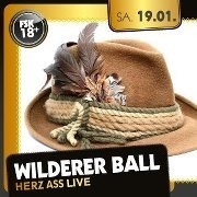 Wilderer Ball mit den Herz Ass live@Shake