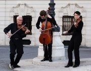 Alternative Strings Trio@ZWE