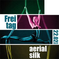 Aerial Silk & Poledance Party@Elysium