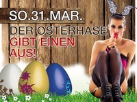 Der Osterhase gibt einen Aus@Mausefalle Vöcklabruck