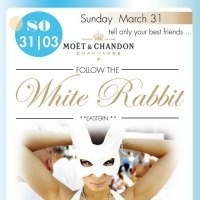 Follow the White Rabbit@Johnnys - The Castle of Emotions