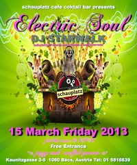 Electric Soul@Schauplatz - Das Lokal