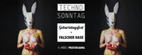 Techno Sonntag Geburtstagsfest + Falscher Hase