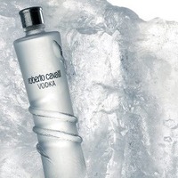 Roberto Cavalli Vodka Night - Luxury On The Rocks