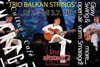 Trio Balkan Strings