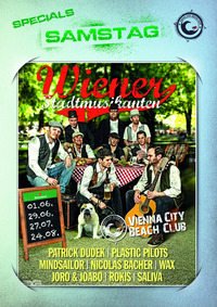 Die Wiener Stadtmusikanten
