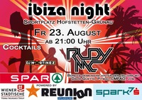 Ibiza Night 2013