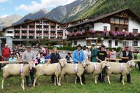 1st Hotels Schaferfest mit großer Schafausstellung@Ortsgebiet