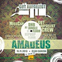 Gut Aufgelegt pres. Amadeus@Camera Club