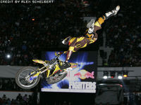 Gruppenavatar von Travis Pastrana