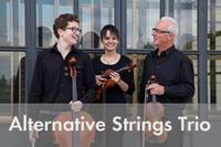 Alternative Strings Trio@ZWE