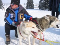 Abenteuer mit den Huskys