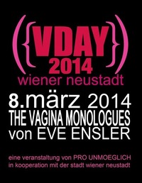 V-Day 2014  Wiener Neustadt@SUB