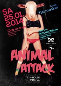 Animal Attack@Orange