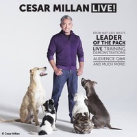 Cesar Millan@Wiener Stadthalle