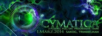 Cymatica at Sakog w/ Boom Shankar