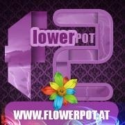 Party Night@Flowerpot