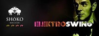 Electroswing