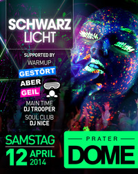 Schwarzlicht