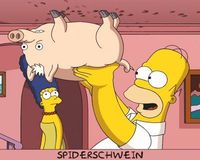 Simpsons & Spiderschwein :) :)