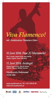 Viva Flamenco@Musikverein
