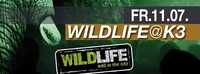 Wildlife@K3 - Clubdisco Wien