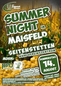 Summernight im Maisfeld 2014@Maisfeld