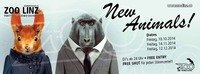 The Zoo / New Faces