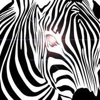 Club Zebra@Aux Gazelles
